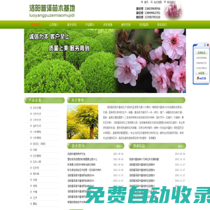 洛陽普澤苗木基地，洛陽普澤綠化工程苗木基地，綠化苗木基地