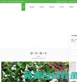 廣州花木場-廣州苗木批發-林木工程公司-廣州市南沙區大崗美琳花木場