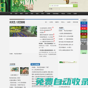 野生靈芝 網- 磚業的民間靈芝網站,您健康幸福人生的參考