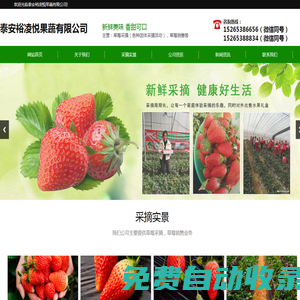 泰安草莓采摘-泰安采摘園電話