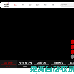 瀏陽焰火,焰火燃放,焰火晚會,焰火公司--瀏陽市銀達利煙花燃放有限公司