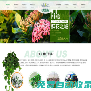 昆明盆栽批發/云南盆栽-昆明睿銘園藝有限公司