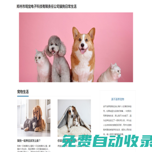貓狗日常生活