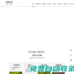 提香帝尙永生苔蘚