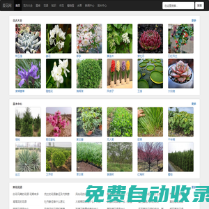 花卉_花卉綠植_花卉大全-愛花網