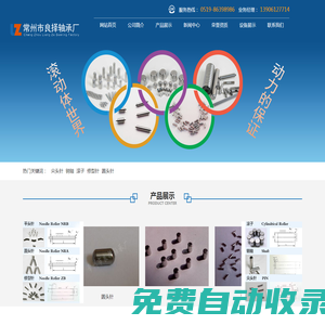 常州市良擇軸承廠