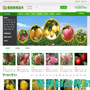 果樹苗多個品種_桃樹苗_梨樹苗_杏樹苗等_唐姍果樹種植專業合作社