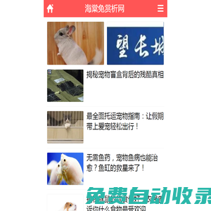 布偶貓,比利時(shí)獵犬知識(shí)網(wǎng)_海棠兔賞析網(wǎng)