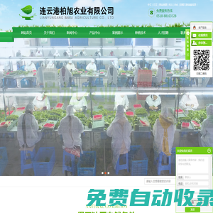 推薦連云港圣葉農(nóng)業(yè)開發(fā)有限公司
