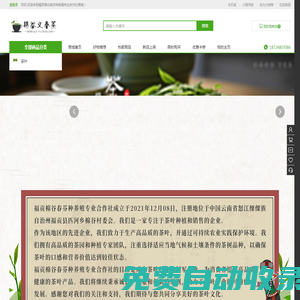 棉谷義春茶_云南綠茶加工銷售_好品質綠茶批發_福貢棉谷春芬種養殖專業合作社