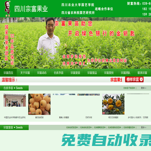 成都天府新區裴忠富果業精品開發服務部