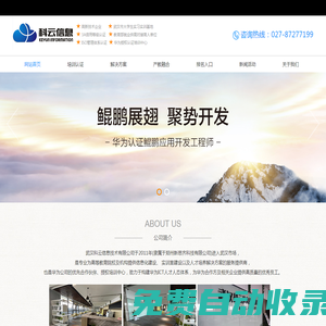 武漢科云信息技術(shù)有限公司