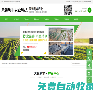 塑料大棚膜_新疆大棚膜廠家_蔬菜大棚膜-新疆天錦利豐農業科技有限公司