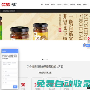 品牌策劃公司|營銷策劃公司|品牌營銷策劃|廣州中擂品牌策劃公司