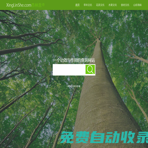 杏林舌-功效與作用大全查詢
