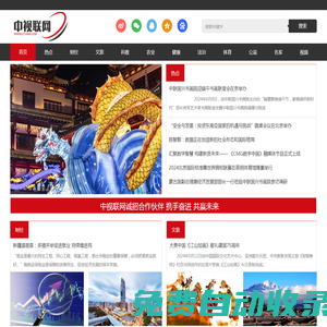 中視聯網