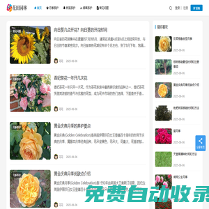 月季苗木批發(fā)基地_園林綠化苗木價格_花田園林