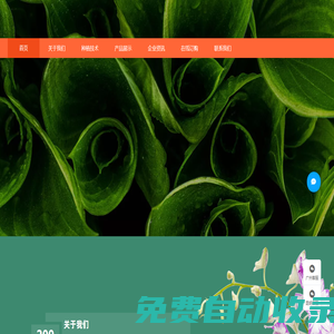 迦南蘭業-蘭花種植基地