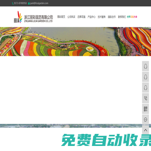郁金香種球_花卉種子批發(fā)_公園景觀設(shè)計(jì)-浙江麗彩園藝有限公司