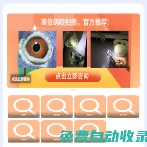 查鴿天下-信鴿足環(huán)號查詢-查鴿網(wǎng)