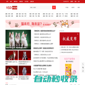 VSO中寵網(wǎng)