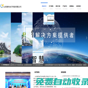 山東騎風電子科技有限公司