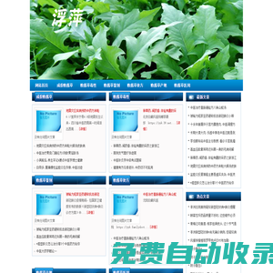敗醬草