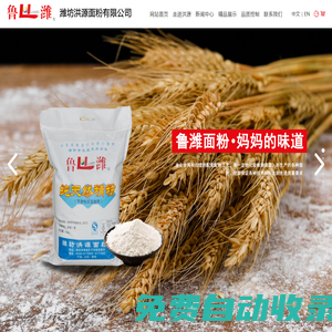 山東放心面粉-濰坊洪源面粉有限公司