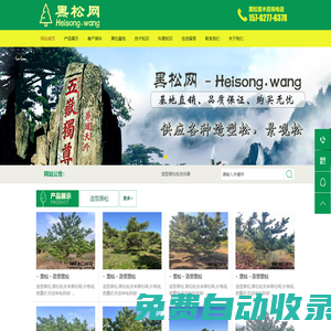 黑松網 - 造型黑松_景觀造型黑松_造型黑松批發_景點綠化黑松_黑松基地直供_買黑松就來 Heisong.wang