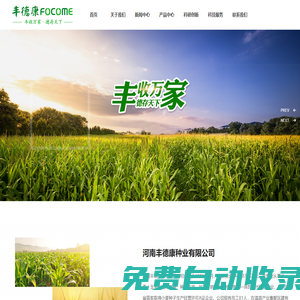 小麥種子_玉米種子_河南豐德康種業有限公司