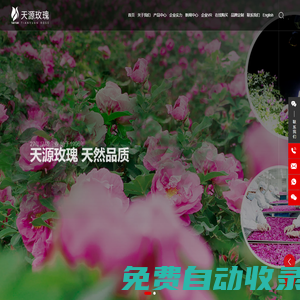 濟(jì)南天源玫瑰制品開發(fā)有限公司_玫源_玫瑰茶