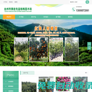 臺州市黃巖先富楊梅苗木場/東魁楊梅苗,白沙枇杷苗,紅美人柑橘苗