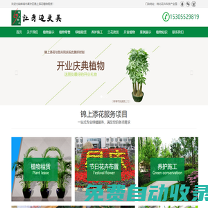 專(zhuān)業(yè)辦公室植物租賃價(jià)格！為您提供室內(nèi)優(yōu)質(zhì)盆栽、租花卉、綠植租擺零售批發(fā)一體化服務(wù) - 蚌埠錦上添花植物租售公司