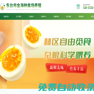 綠殼雞蛋價格|營養價值|土雞蛋批發-江蘇省東臺市金海種場常年大量養殖直供-東臺市金海種禽場養殖