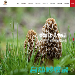湖北山娃子食品有限公司|大顆花菇|羊肚菌