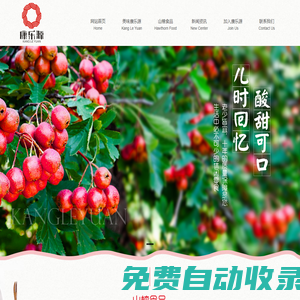 天津康樂源食品有限公司_食品