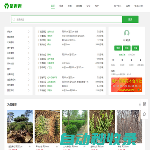 苗青青_苗木求購批發價格_苗木銷售平臺_園林綠化苗木網_青青花木網