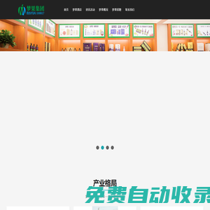 夢(mèng)果集團(tuán)