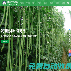 沈陽陵豐種苗商行_豇豆種子_蕓豆種子