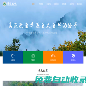 漫埕森林-緊臨銅鑼壩國家森林公園_必去網(wǎng)紅打卡景點