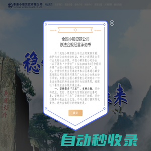 泰通小額貸款有限公司