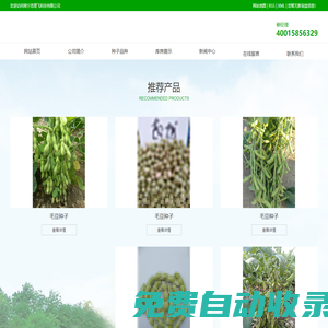 南寧洛理飛科技有限公司