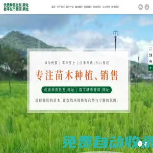 云南優(yōu)質種苗批發(fā)_寧洱苗木批發(fā)_普洱苗木銷售_云南苗木供應_寧洱便民苗圃