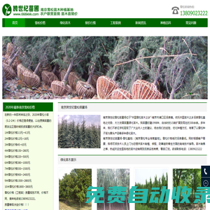 雪松_雪松價格_雪松小苗_雪松基地--南京跨世紀(jì)雪松苗圃場