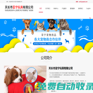 天長市亞寧玩具有限公司