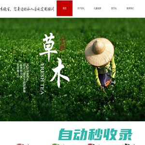 草木曉舍|茶禮定制|單從|鐵觀音|普洱|紅茶|綠茶