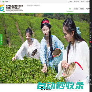 青茶空間|南京市高淳區慢城青茶茶葉農民專業合作社聯合社|高淳茶葉品牌