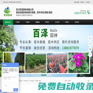 四川綠化苗木_苗木基地_苗木價(jià)格_苗木批發(fā)-四川百澤園林有限公司