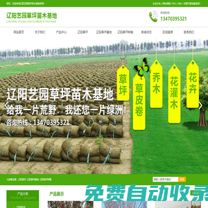 遼陽草坪_遼陽草坪基地_遼陽草坪種植-遼陽藝園草坪苗木基地