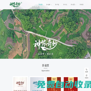 福建東奇茶產(chǎn)業(yè)發(fā)展有限公司|神儂奇妙